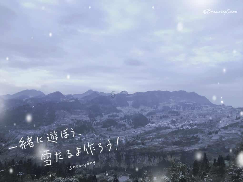 谁晓得西红柿鸡蛋面怎么做游戏画面