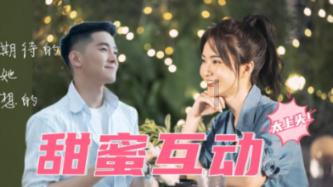 小仓鼠吃瓜子