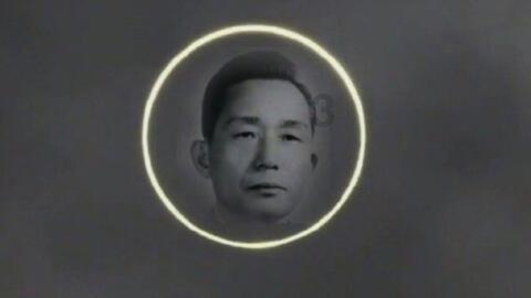 寂静森林找星星